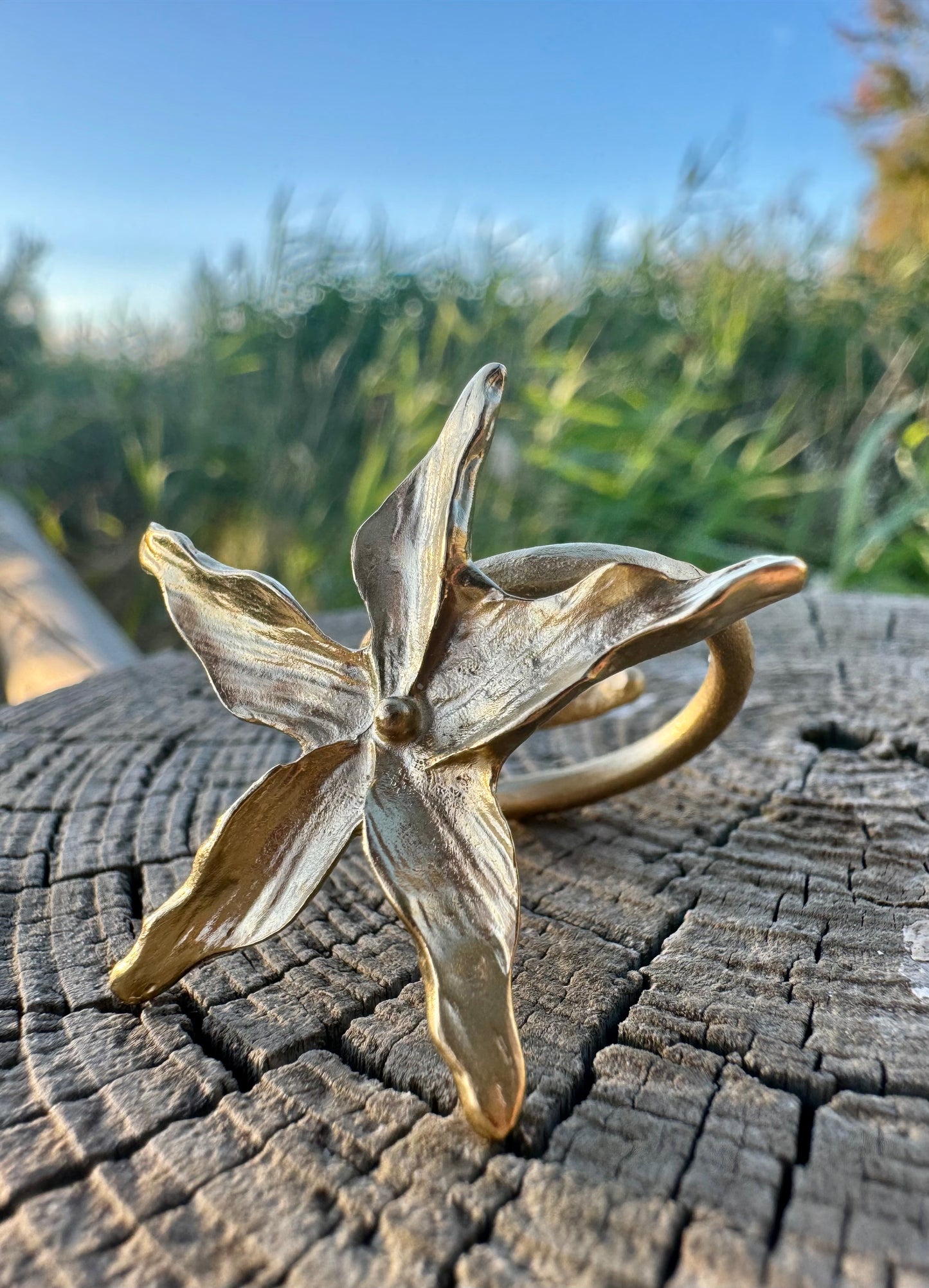 Bague Fleur Étoilée - Matte